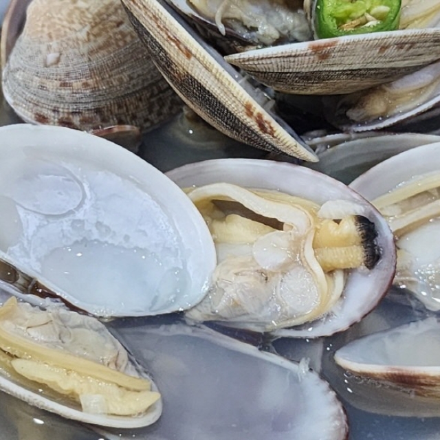 통통 활 바지락 1kg (55-65미내외)