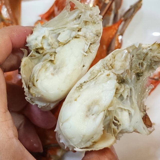 가을 활 숫꽃게 1kg (3-5미 내외)